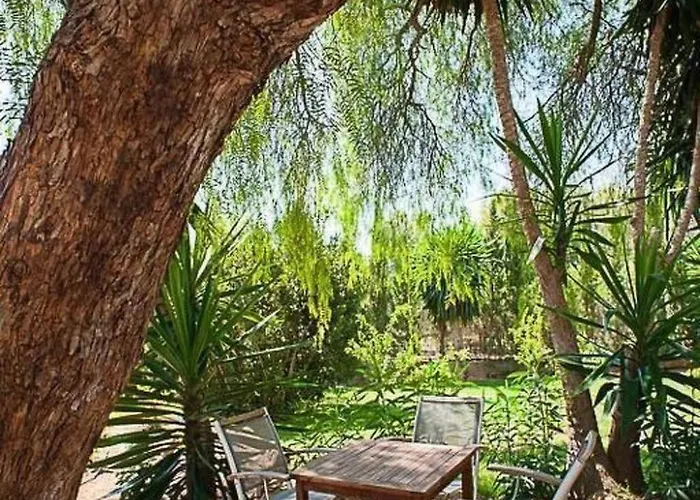 Gall In Mit Pool By Interhome Sant Joan De Labritja